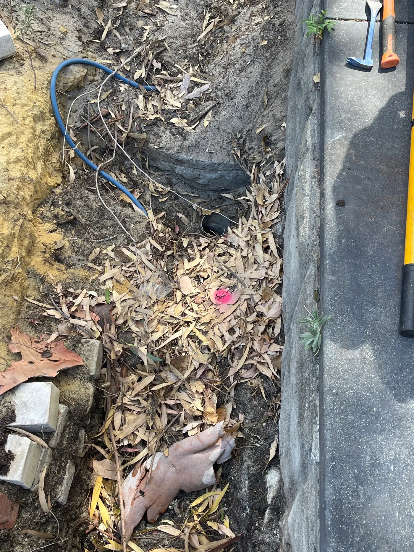 Drain opening uncovered in a leafy garden bed at a Carine job