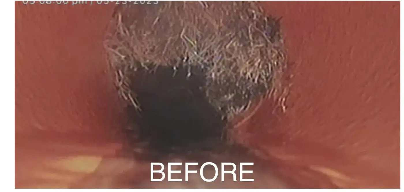 CCTV frame of one Perth drain, before: tree roots blocking the line