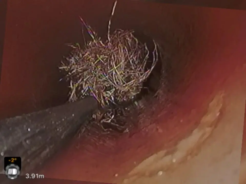 CCTV frame of a root mass blocking a pipe