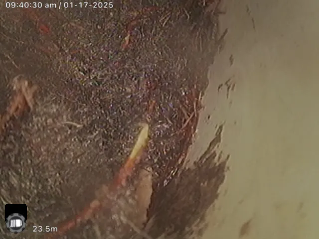 CCTV frame inside a sewer pipe in Craigie showing a dense mat of fine tree roots, with the camera counter reading 23.5 m